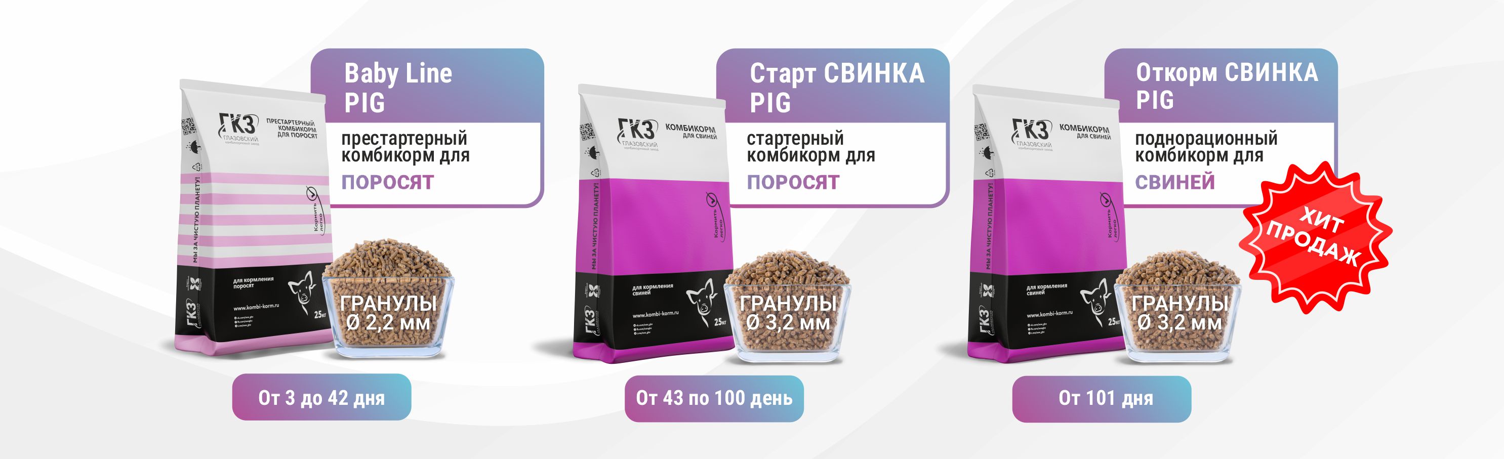 ТОП свиньи