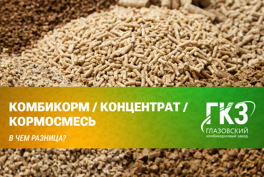 Комбикорм, концентрат и кормовая смесь: в чем разница?