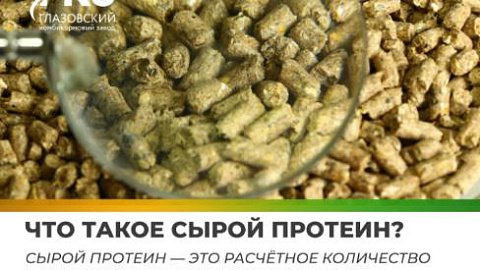 Что такое сырой протеин?