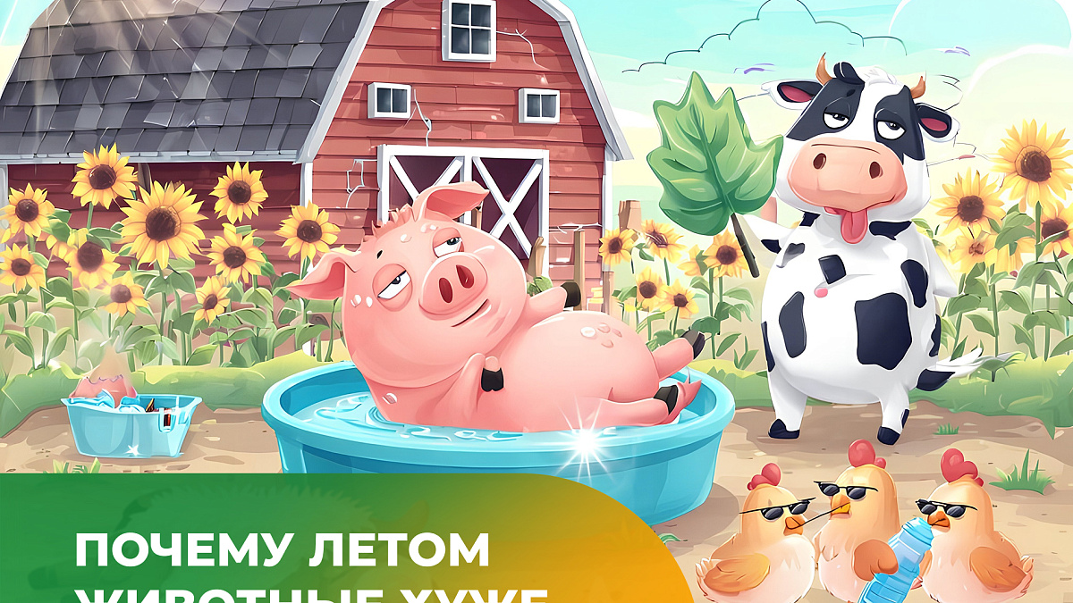 Почему летом животные хуже едят?